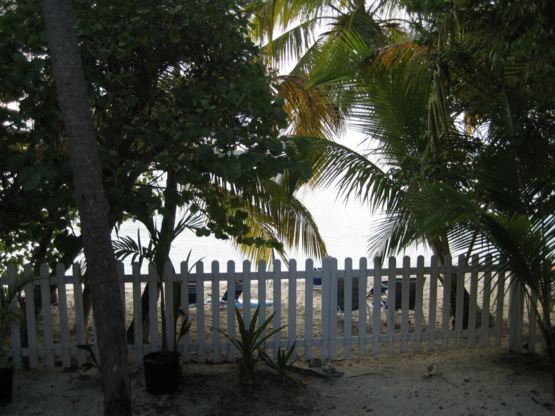 IMG 0907