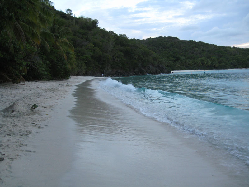 IMG 0950